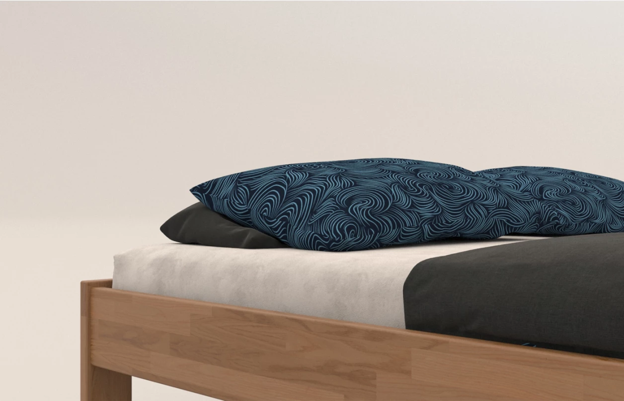 Posteľ Tema Futon 180x200 cm, šedý buk 3
