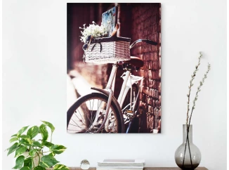 Obraz na plátne Bicykel s košíkom, 50x70 cm