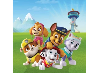Detský obraz Paw Patrol veža, 35x35 cm