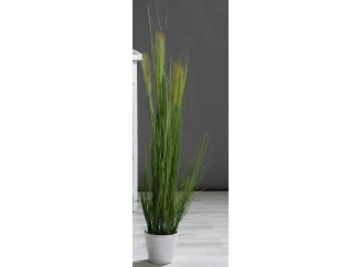 Umalá rastlina Tráva v kvetináči 120 cm, zelená
