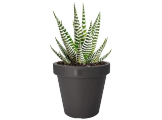 Kvetináč Kanten 25 cm, antracitový