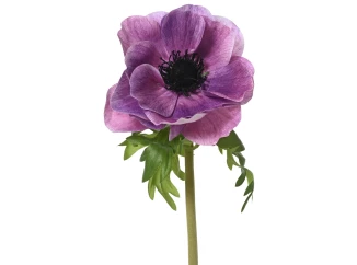 Umelá kvetina Vlčí mak 50 cm, fialová