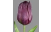 Umelá kvetina Tulipán 20 cm, fialová