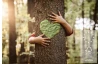 Vysoká nástenná kúpeľňová skrinka Laredo, 45 cm, biela/dub nox