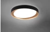 Stropné LED osvetlenie Zeta 48 cm, čierno-zlaté