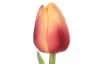 Umelý kvet Tulipán 34 cm, ružovo-žltý