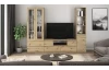 TV skrinka Carlos, dub artisan, šírka 140 cm